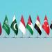 بيان عربي إسلامي في نيويورك يطالب بالالتزام بوقف إطلاق النار في غزة ويرفض التهجير والاستيطان - تواصل نيوز
