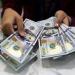 استقرار سعر صرف الدولار أمام الجنيه المصري منتصف تعاملات اليوم الأربعاء - تواصل نيوز