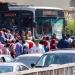مسح الأسرة المصرية: بطاقة التموين الأكثر استفادة للأسر ضمن برامج الحماية الاجتماعية - تواصل نيوز