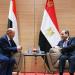 السيسي والعليمي يبحثان تطورات اليمن.. مصر تتمسك بالتسوية السياسية الشاملة - تواصل نيوز