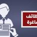 فرص عمل جديدة في الفيوم.. 1600 وظيفة بـ23 شركة في ملتقى التوظيف - تواصل نيوز