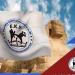 هروب لاعب من بعثة منتخب مصر للكيك بوكسينج في إيطاليا - تواصل نيوز
