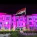 باللون الوردي.. جامعة أسيوط الأهلية تضيء ليلها برسالة أمل في مواجهة سرطان الثدي - تواصل نيوز