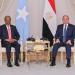 الرئيس السيسي يشدد على استمرار دعم مصر للصومال وكافة مؤسساته الوطنية - تواصل نيوز