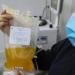 الحبس وغرامة مليون جنيه عقوبة تجميع بلازما الدم بدون ترخيص - تواصل نيوز