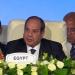 الرئيس السيسي يطالب بتفعيل التجارة الحرة الأفريقية وربط شبكات النقل والطاقة - تواصل نيوز