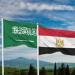 وزير الخارجية يؤكد لنظيره السعودى إدانة مصر لكافة الاعتداءات على المملكة والدعم الكامل لأمنها واستقرارها - تواصل نيوز