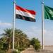 السعودية تبدأ إجراءات تصحيح أوضاع اليمنيين غير النظاميين.. ترحيب واسع في صنعاء - تواصل نيوز