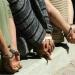 نفذوا 10 عمليات.. القبض على عصابة تخصصت في سرقة السيارات بالبساتين - تواصل نيوز