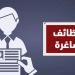 وزارة العمل توفر وظائف بالقاهرة برواتب تصل إلى 25 ألف جنيه - تواصل نيوز