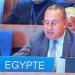 مصر تعلن ترشحها لعضوية المجلس التنفيذي لليونسكو للفترة 2029- 2033 - تواصل نيوز