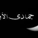 موعد بداية شهر جمادى الأولى فلكيا لعام 1448 هجريا - تواصل نيوز