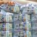 سعر الدولار مقابل الجنيه المصري اليوم الإثنين 12 أكتوبر 2026.. بكام في البنك الأهلي؟ - تواصل نيوز