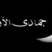 أبرزهم الحسين رضي الله عنه، أشهر مواليد ووفيات شهر جمادى الأولى - تواصل نيوز