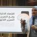 دار علوم القاهرة تنظم برنامج تأهيلي للطلاب الجدد (صور) - تواصل نيوز