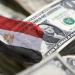 البنك الدولي: الدين الخارجي لمصر يرتفع إلى 166.45 مليار دولار - تواصل نيوز