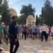 مستعمرون يقتحمون المسجد الأقصى بحماية قوات الاحتلال الإسرائيلي - تواصل نيوز