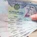 سعر الدرهم الإماراتي مقابل الجنيه اليوم.. الأحد 18 أكتوبر 2026 - تواصل نيوز