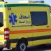 إصابة 4 أشخاص بينهم طفلان في هجوم كلب ضال بقرية هو في نجع حمادي - تواصل نيوز