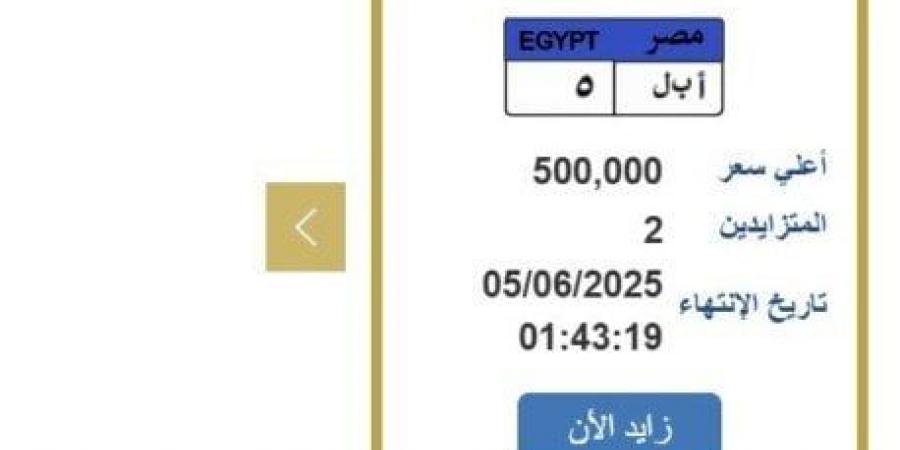 سعرها نصف مليون جنيه.. التزايد يشتعل على لوحة سيارة مميزة - تواصل نيوز