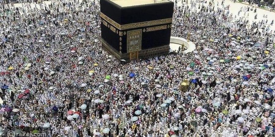 غدًا.. تنظيم ندوة الحج الكبرى في جدة - تواصل نيوز