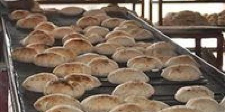 وزير التموين: نعد ونوفر نحو 280 مليون رغيف خبز للمواطنين يوميا.. ودي مسؤولية كبيرة جدا - تواصل نيوز