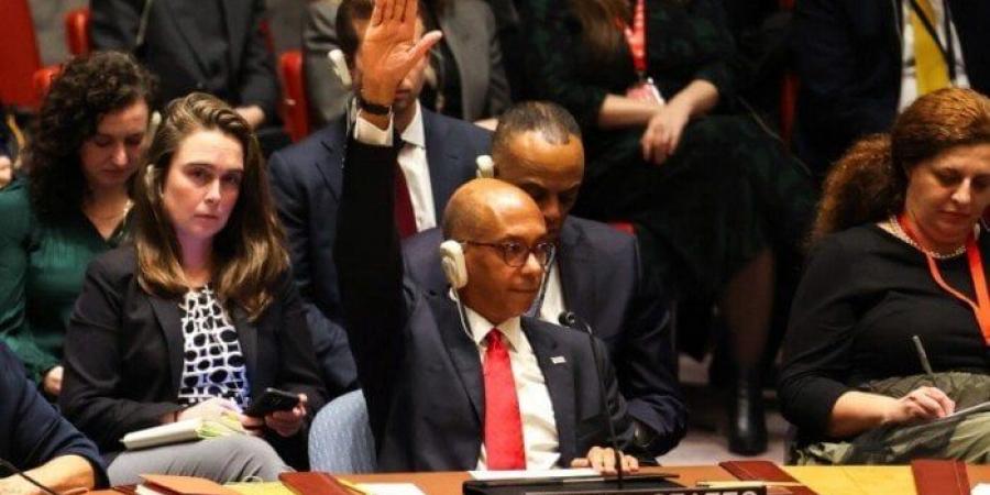 عاجل.. أمريكا تستخدم «الفيتو» ضد مشروع قرار لوقف إطلاق النار في غزة - تواصل نيوز