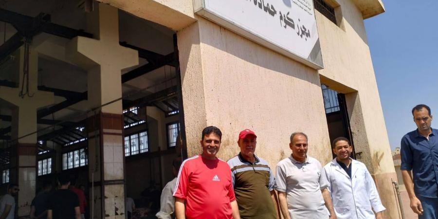 ذبح وتوزيع103من العجول على الاولى بالرعايةو1184رأس ماشية بالبحيرة - تواصل نيوز