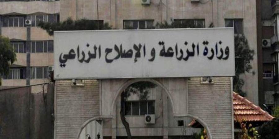 وزير الزراعة: نستعرض الخطط الاحترازية لحماية الثروة الحيوانية من الأمراض العابرة للحدود - تواصل نيوز