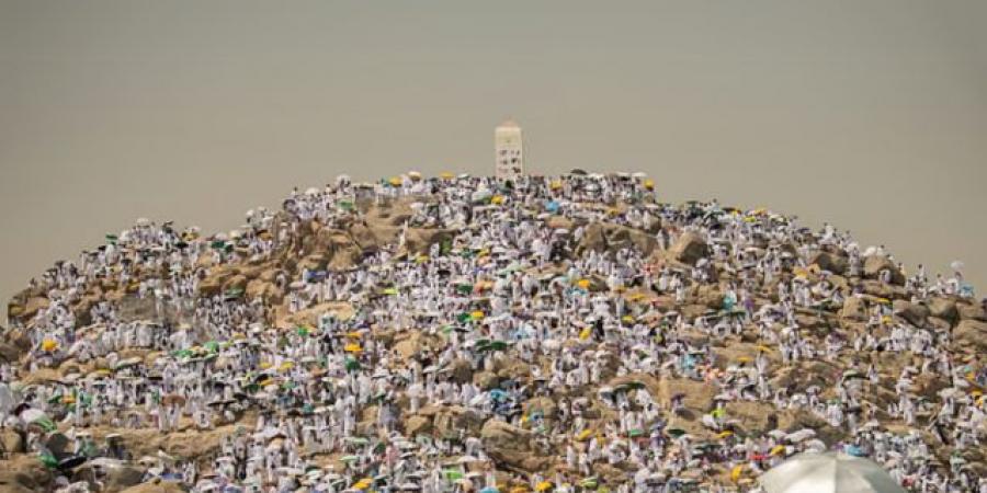 دون ازدحام.. السعودية تعلن نجاح خطة تفويج الحجاج إلى عرفات - تواصل نيوز