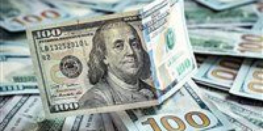 آخر تطور لـ سعر الدولار مقابل الجنيه المصري اليوم - تواصل نيوز