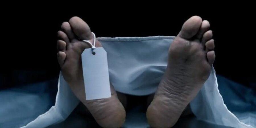 حدث وأنت نائم| طالب يطعن زميله بـ «كتر».. وشاب يقتل زوجته في البحيرة - تواصل نيوز