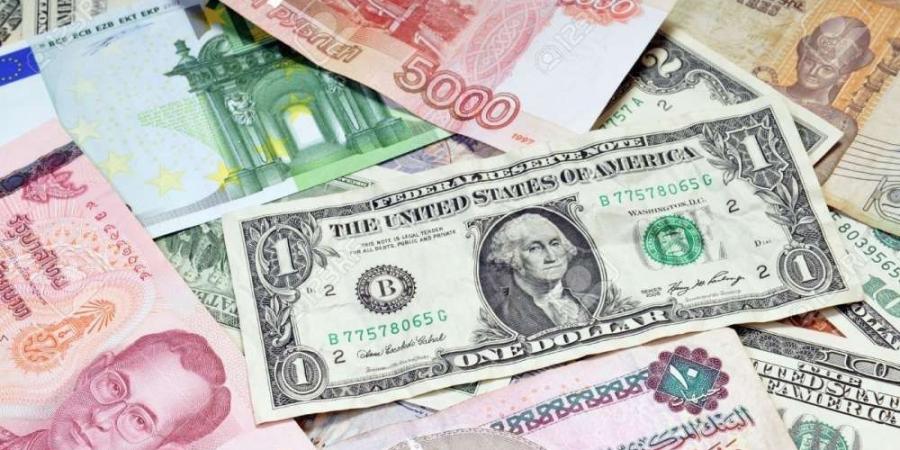 أسعار العملات العربية والأجنبية اليوم الأربعاء 11 يونيه 2025 - تواصل نيوز