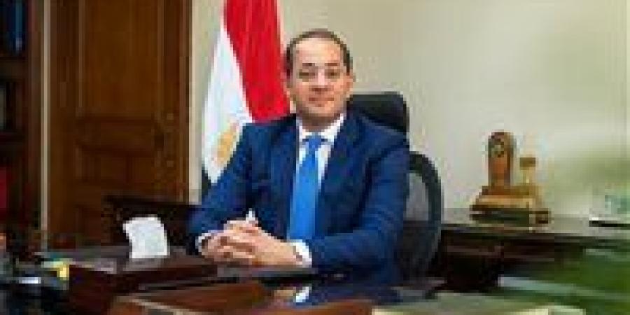 «اللي جاي أفضل».. وزير المالية: اقتصاد مصر يتحسن وحققنا أعلى فائض أولي منذ 2005 - تواصل نيوز