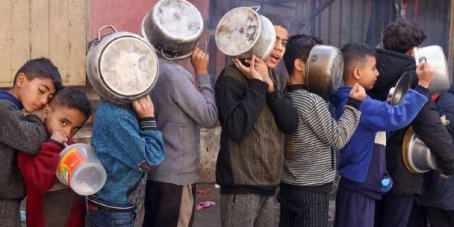 "الأونروا": آلية المساعدات الأمريكية غير قادة على معالجة الجوع في غزة - تواصل نيوز