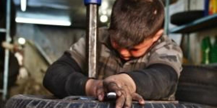 العمل: حريصون على الحد من عمل الأطفال - تواصل نيوز