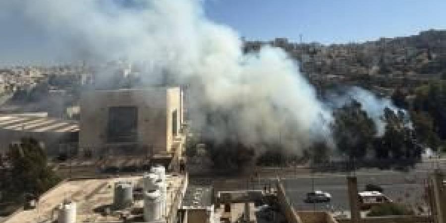 مصدر أمني: نشوب حريق أعشاب الجمعة بمنطقة وسط البلد .. فيديو - تواصل نيوز