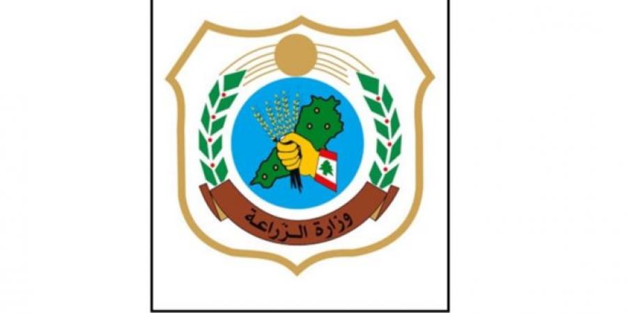 حصري فقط على تواصل نيوز - وزارة الزراعة تتخذ إجراءات صارمة بحق مخالف لقوانين الصيد البحري: فرق الرقابة ستواصل جولاتها - تواصل نيوز