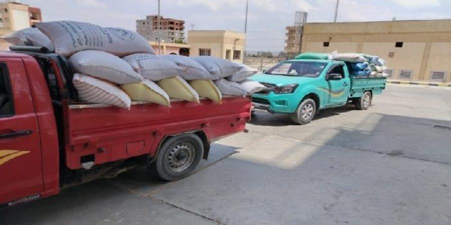 شاهد الان - حصاد الخير.. شون وصوامع البحيرة تستقبل 311 ألف طن قمح من المزارعين - تواصل نيوز