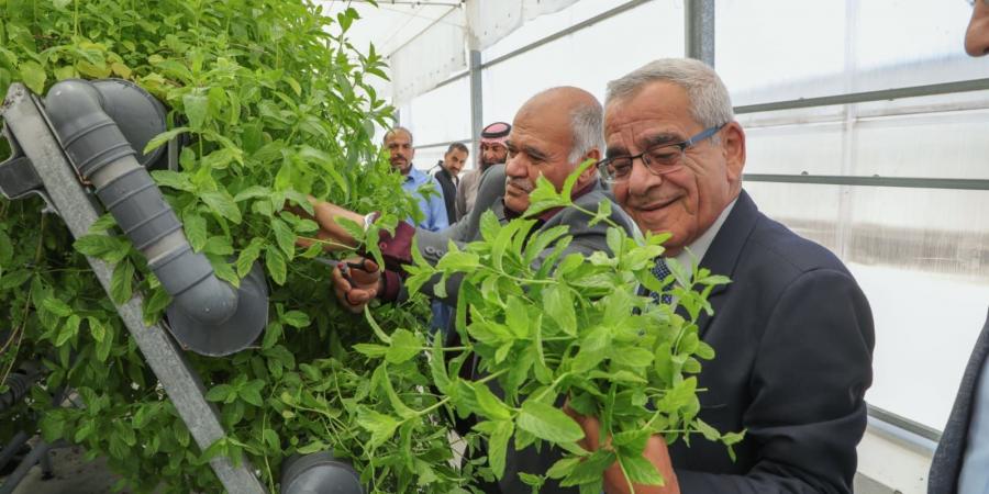 احنا بتوع الجديد - الجامعة الهاشمية تنجز مشروع الزراعة المائية الذكية دعماً للبحث العلمي التطبيقي وخدمةً للأمن الغذائي الوطني - تواصل نيوز