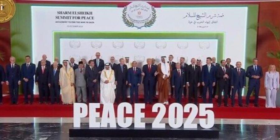 نائبة: قمة شرم الشيخ جسدت رؤية مصر الداعية للسلام والاستقرار - تواصل نيوز