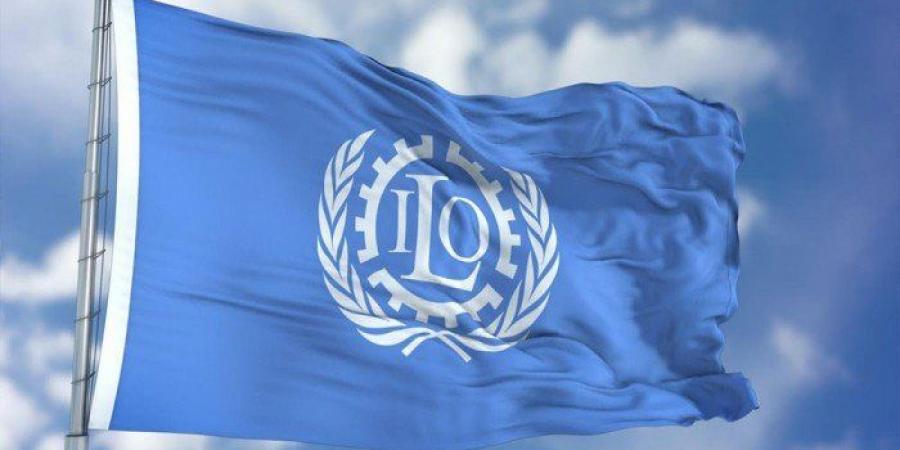 "العمل الدولية": منظومة حماية الأجور بدول الخليج أحد أبرز الابتكارات التنظيمية لترسيخ الشفافية في أسواق العمل - تواصل نيوز