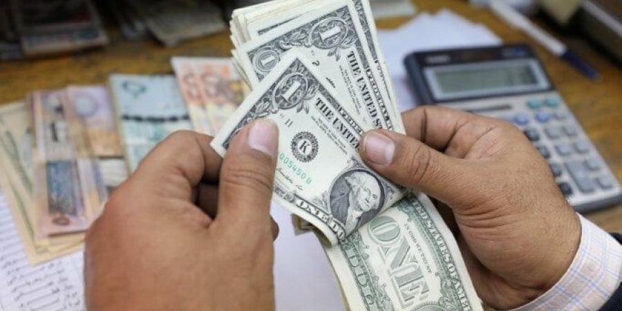 قبل قرار البنك المركزي.. سعر الدولار اليوم الخميس 20 نوفمبر 2025 فى البنوك - تواصل نيوز