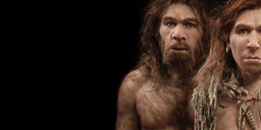 عالم روسي: جينات النياندرتال والدينيسوفان ساعدت البشر على مواجهة كوفيد-19 - تواصل نيوز