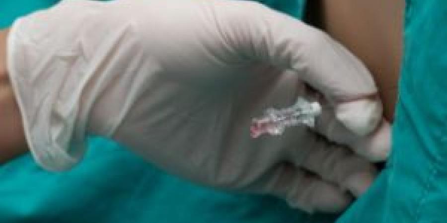 وفاة طالب جامعي بالطفيلة بسبب السحايا وإجراء فحوصات لـ46 مخالطًا - تواصل نيوز