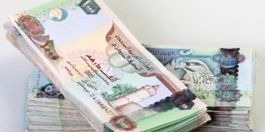 سعر الدرهم الإماراتي مقابل الجنيه المصري اليوم الإثنين 25 -11-2025 بيعًا وشراءً - تواصل نيوز