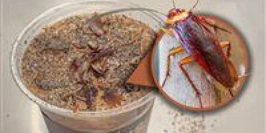 قهوة الصراصير والنمل تكتسح الصين.. مشروب غريب يتحول إلى ظاهرة شبابية - تواصل نيوز