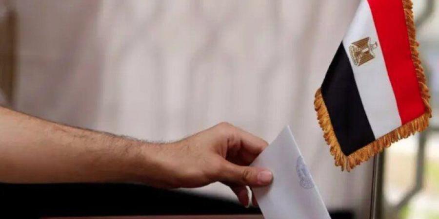 إقبال كبير وتنظيم مميز.. مراقبون دوليون يشيدون بتنظيم انتخابات النواب 2025 - تواصل نيوز