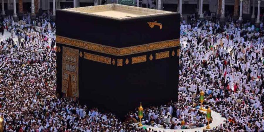 التضامن: مد فترة سداد رسوم حج الجمعيات الأهلية حتى 4 ديسمبر - تواصل نيوز