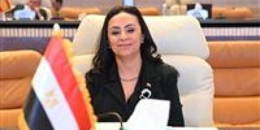 وزيرة التضامن تكشف سيناريوهات التعامل مع «كارثة طبيعية» حال حدوثها في الواقع - تواصل نيوز